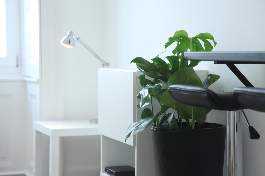 Pearl Apartment In The Center With City View 부다페스트 외부 사진